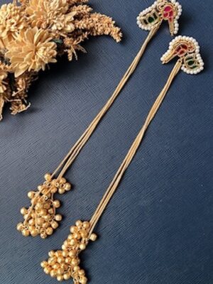 Kashmiri Earrings